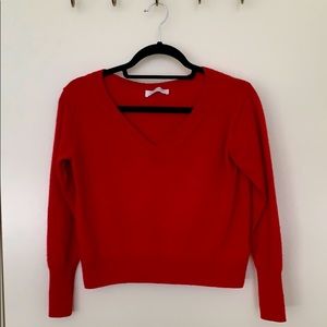 Everlane cashmere v-neck sweater